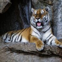 Erlebnisbauernhof im Tierpark Chemnitz
