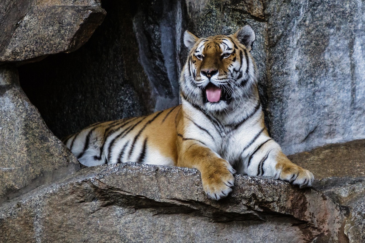 Tierpark Chemnitz, Bild von tee_zett auf Pixabay